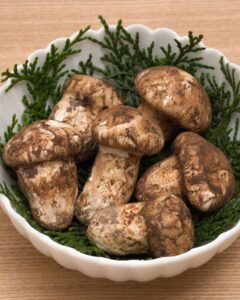 Jamur Matsutake
